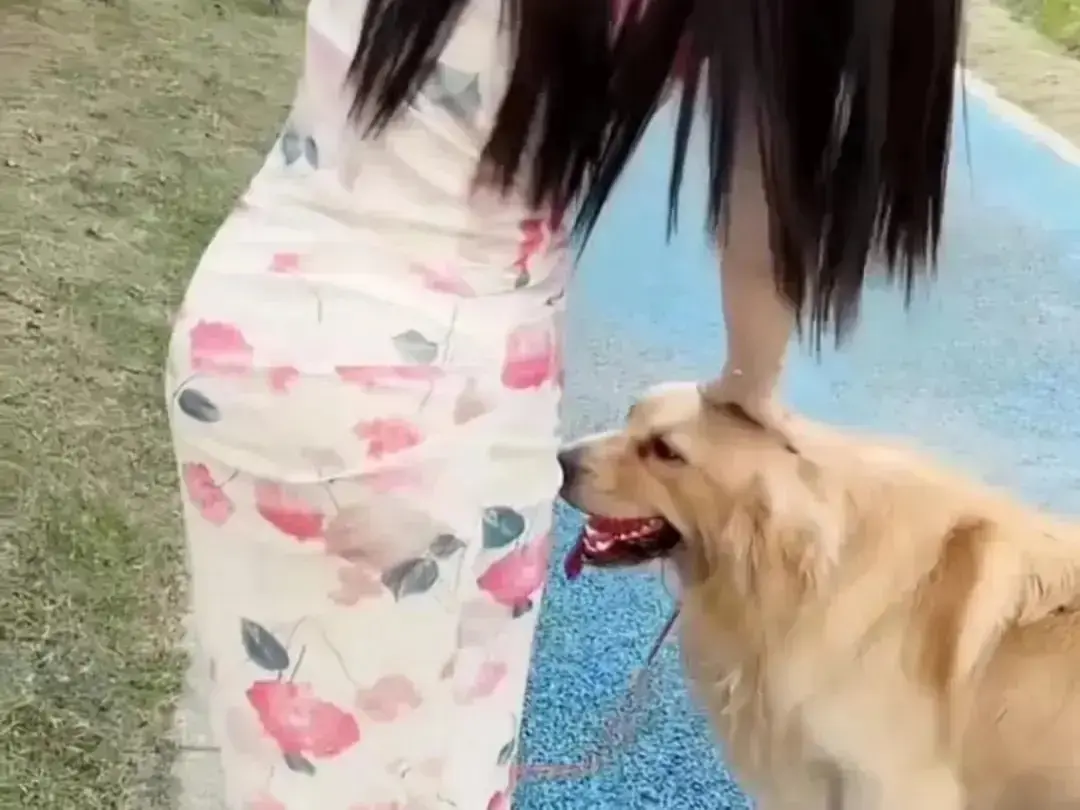 《抖音香香公主与爱犬金毛》高能互动日常完整版在线高清免费观看-抖音香香公主与爱犬金毛撒娇名场面直播回放无广告网盘资源免费秒播