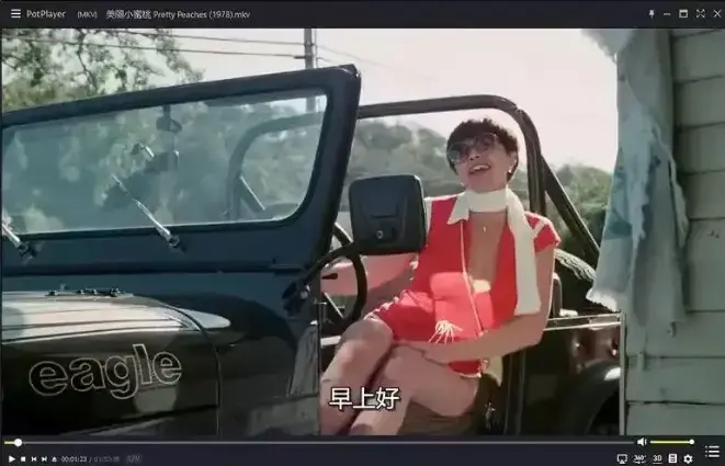 《美丽小蜜桃》高清完整版免费播放-1978年未删减美国喜剧片在线看-美丽小蜜桃1080P中字资源