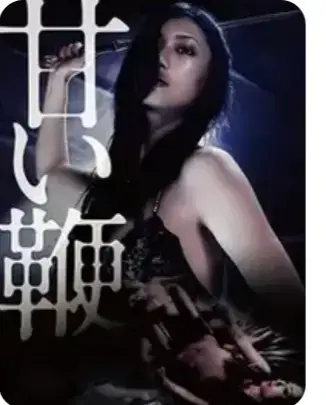 《甜蜜皮鞭》未删减版1080P高清画质播放-日本电影《甜蜜皮鞭》中文字幕完整版-全集免费在线观看