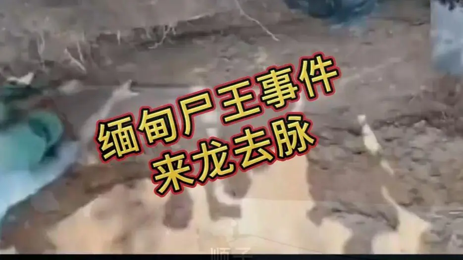 《缅甸僵尸出土事件视频》完整版资源在线观看免费播放 - 爆火视频缅甸僵尸出土事件始末原视频高清下载 超清未删减全程录像资源下载
