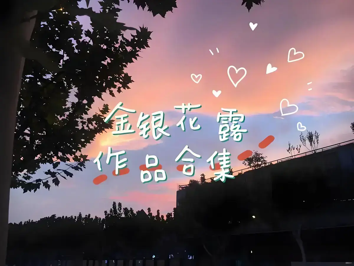 《金银花露的所有书》1080P高清画质在线看-金银花露的所有书全本免费观看-全网同步更新无删减